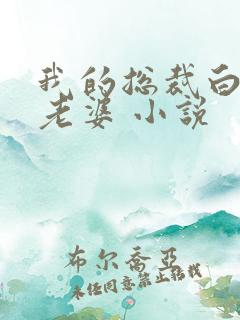 我的总裁白富美老婆 小说