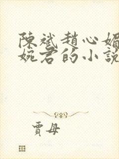 陈斌赵心媚和高婉君的小说