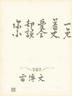 你却爱着一个他小说全文免费阅读