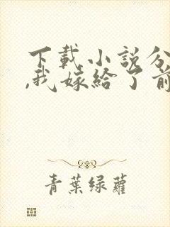 下载小说分手后,我嫁给了前男友的小叔