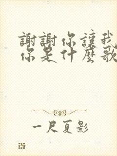 谢谢你让我遇见你是什么歌名的歌词