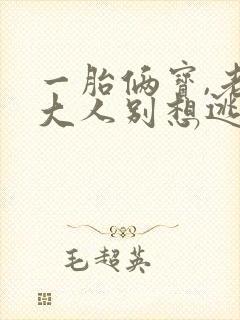 一胎俩宝,老婆大人别想逃