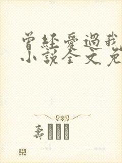 曾经爱过我刘念小说全文免费阅读