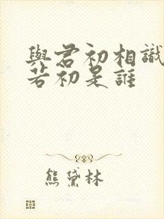 与君初相识中宁若初是谁