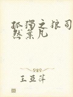 孤独之狼司空嫣然叶凡