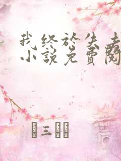 我终于失去你了小说免费阅读