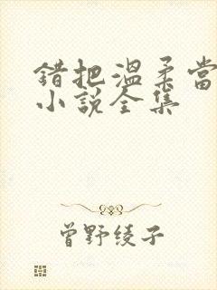 错把温柔当情深小说全集