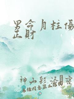 男命月柱伤官坐正财