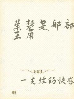 叶楚是哪部小说主角