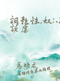 调教性,奴:小说虐