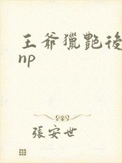 王爷猎艳后宫hnp
