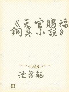 《天官赐福墨香铜臭小说》