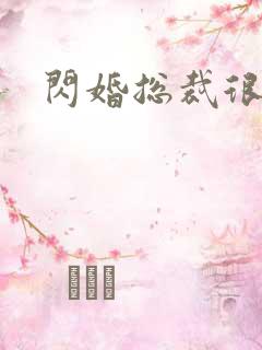 闪婚总裁很霸道