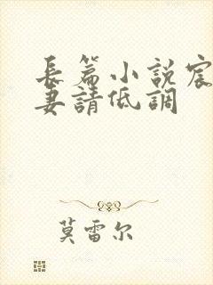 长篇小说宸少宠妻请低调