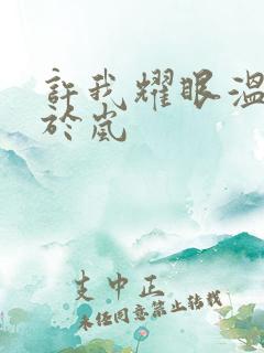 许我耀眼温峥嵘于岚