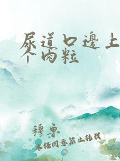 尿道口边上长了个肉粒