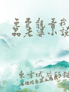 免费观看我的极品老婆小说