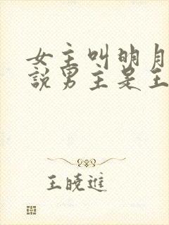 女主叫明月的小说男主是王爷