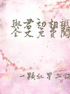 与君初相识小说全文免费阅读