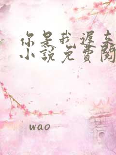 你是我迟来的光小说免费阅读