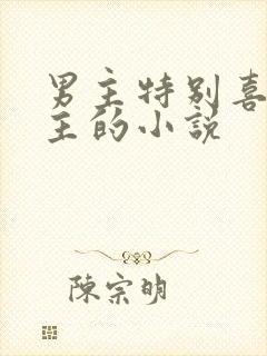 男主特别喜欢女主的小说