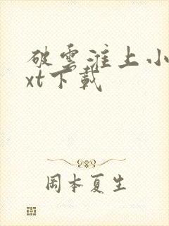 破云淮上小说txt下载