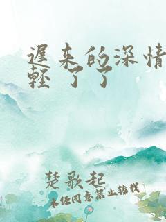 迟来的深情比草轻 了了