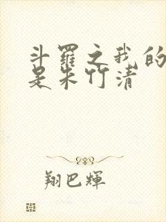 斗罗之我的老婆是朱竹清