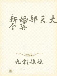 新婚那天大结局全集