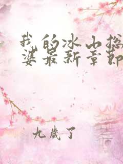 我的冰山总裁老婆最新章节阅读