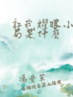 许我耀眼小说结局是什么