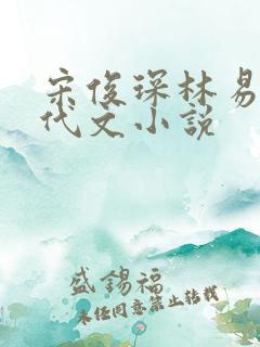 宋俊琛林易瑶年代文小说