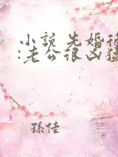 小说 先婚后爱:老公很凶猛