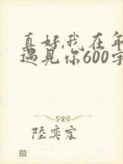 真好,我在年少遇见你600字