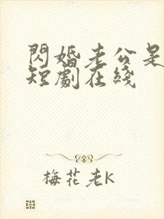 闪婚老公是豪门短剧在线