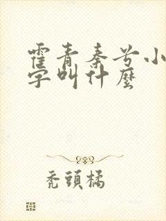 霍青秦兮小说名字叫什么