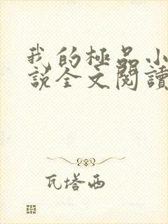 我的极品小姨小说全文阅读