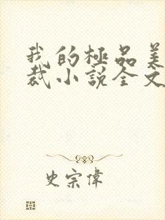 我的极品美女总裁小说全文免费阅读