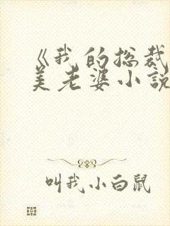 《我的总裁白富美老婆小说》