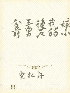 分手后我嫁给了前男友的小叔小说