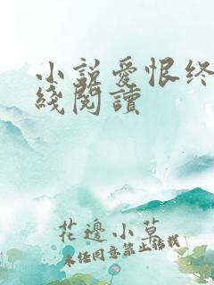 小说爱恨终散在线阅读