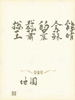 总裁的全能型兵王萧晨苏晴