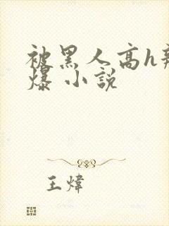 被黑人高h辣文爆 小说