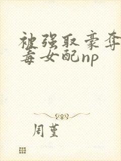被强取豪夺的恶毒女配np