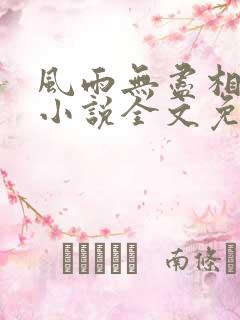 风雨无尽相思情小说全文免费阅读