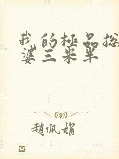 我的极品总裁老婆三米半