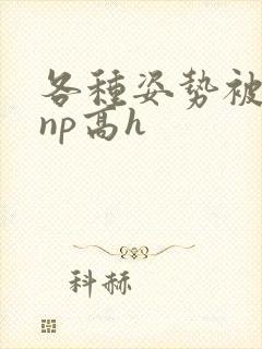 各种姿势被学长np高h