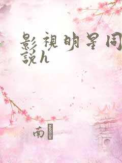 影视明星同人小说h