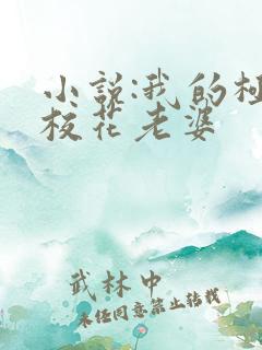 小说:我的极品校花老婆