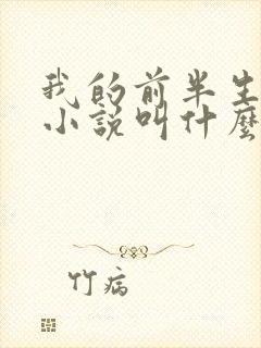 我的前半生原著小说叫什么